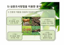 [소비자행동론] 웰빙소비의 친환경 소비로의 발전을 위하여-12