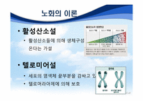 [생명과학] 노화-4