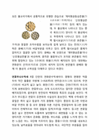 부여박물관 답사-10