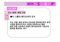 SCP 모델을 이용한 엠넷미디어의 수익다각화 분석-17