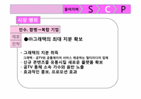 SCP 모델을 이용한 엠넷미디어의 수익다각화 분석-18