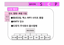 SCP 모델을 이용한 엠넷미디어의 수익다각화 분석-19
