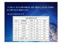 프랑스와 독일의 운하-7