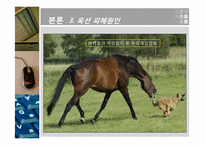 개인 정보 침해 -옥션 사례 중심으로-15