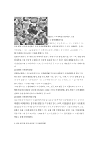 [식품 위생학] 식중독 균에 대한 조사-6