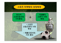 스포츠마케팅 레포트-7