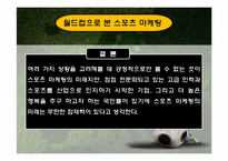 스포츠마케팅 레포트-19