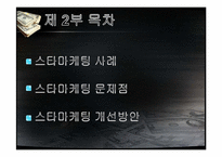 스타마케팅 레포트-14