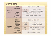 칵테일 레포트-3