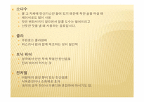 칵테일 레포트-9