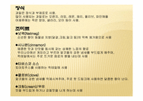 칵테일 레포트-11
