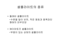 셀룰라이트의 종류와 특성및 제품-2