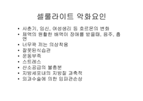 셀룰라이트의 종류와 특성및 제품-4