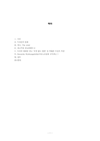 [국제광고] 독일 광고에 대한 이해와 분석-1