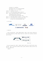 [국제경영전략] 대구중소기업 국제경영전략수립(체시스를 중심으로)-3