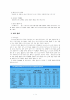 [국제경영전략] 대구중소기업 국제경영전략수립(체시스를 중심으로)-5
