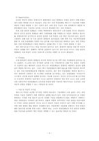 [국제경영전략] 대구중소기업 국제경영전략수립(체시스를 중심으로)-7