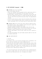 [국제경영전략] 대구중소기업 국제경영전략수립(체시스를 중심으로)-8