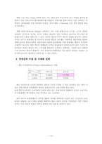 [국제경영전략] 대구중소기업 국제경영전략수립(체시스를 중심으로)-14