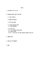 [마케팅] 쓰리세븐의 국제마케팅 성공사례-2