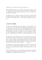 [마케팅] 쓰리세븐의 국제마케팅 성공사례-15