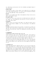 [국제경영] Lock & Lock(락앤락) 전략 분석 및 대안-4