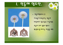 [마케팅] 민들레영토의 감성경영-4