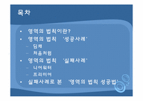 [소비자행동론] 영역의 법칙-2