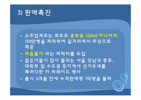 [소비자행동론] 영역의 법칙-13