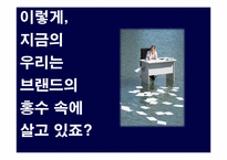 [소비자행동론] 브랜드와 소비자의 성향에 관한 고찰-4