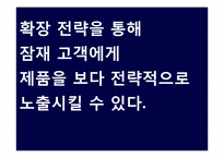 [소비자행동론] 브랜드와 소비자의 성향에 관한 고찰-11