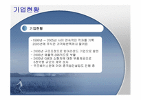 [국제경영전략] 대구중소기업 국제경영전략수립(체시스를 중심으로)-4