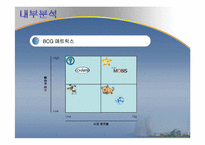 [국제경영전략] 대구중소기업 국제경영전략수립(체시스를 중심으로)-5