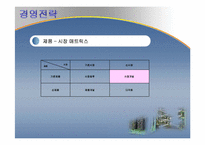 [국제경영전략] 대구중소기업 국제경영전략수립(체시스를 중심으로)-10