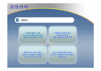 [국제경영전략] 대구중소기업 국제경영전략수립(체시스를 중심으로)-11