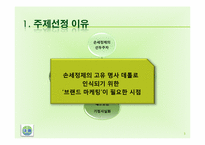 [마케팅전략]데톨의 장기적 성장을 위한 브랜드 마케팅 전략-4