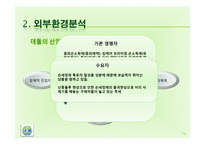 [마케팅전략]데톨의 장기적 성장을 위한 브랜드 마케팅 전략-11