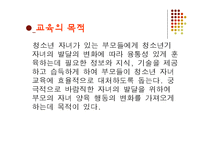 [사회복지] 청소년기 자녀를 둔 부모 교육 프로그램-5