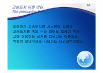[국제관계이론] 고슴도치 이론과 북핵 문제-4