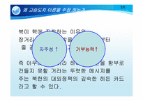 [국제관계이론] 고슴도치 이론과 북핵 문제-9