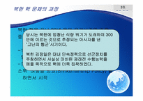 [국제관계이론] 고슴도치 이론과 북핵 문제-15
