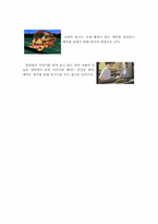 [문학과판타지] 이웃집 토토로를 통해 바라 본 문학의 환상성-10