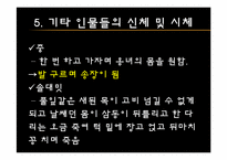 [고전문학과문화] 변강쇠가(성(性)과 죽음을 신체에 주목하여 읽기)-12