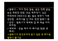[고전문학과문화] 변강쇠가(성(性)과 죽음을 신체에 주목하여 읽기)-15