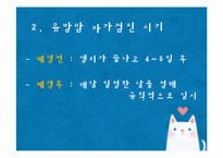 [성인간호] 유방암 자가검진-3