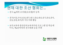 [간호학개론] 대한 조산 협회-11