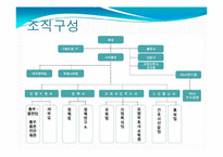 [간호학개론] 대한 간호 협회-4