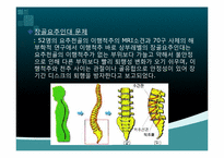 [생화학] 퇴행성 디스크에 관한 분석-18
