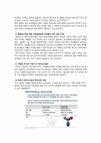 제약산업의 분석과 경영전략(동아제약과 녹십자를 중심으로)-10