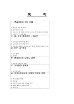 닌텐도 Nintendo의 마케팅전략-2